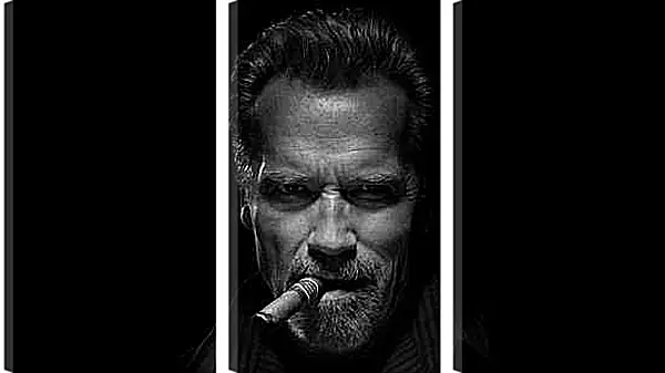 Модульная картина - Арнольд Шварценеггер (Arnold Schwarzenegger)