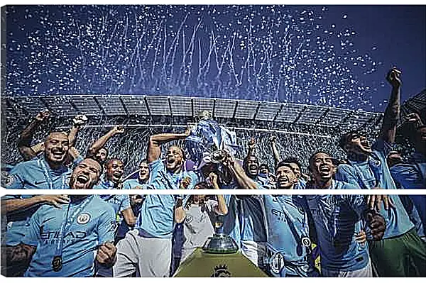 Модульная картина - Победа в АПЛ. ФК Манчестер Сити. FC Manchester City
