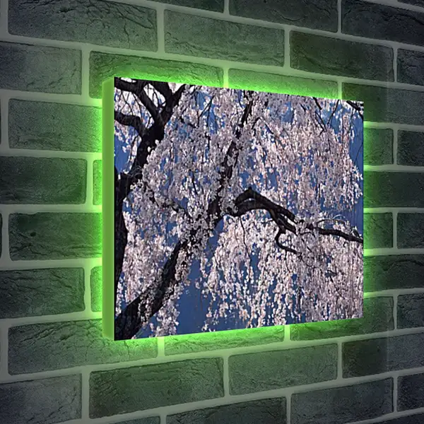 Лайтбокс световая панель - Весна