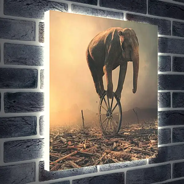 Лайтбокс световая панель - Слон на колесе