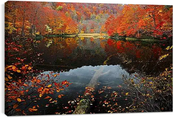 Постер на подрамнике - Осень