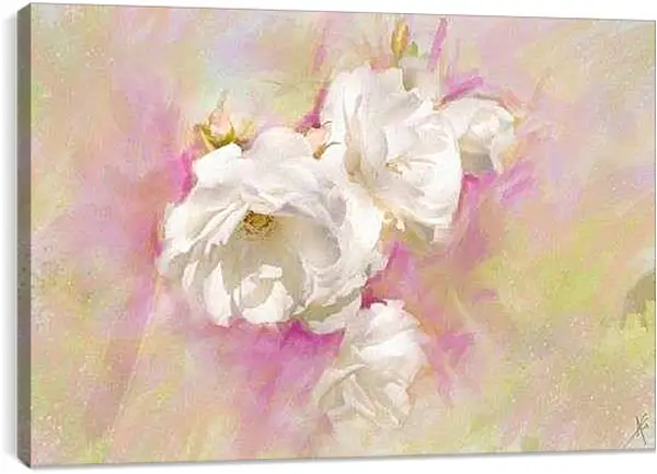 Постер на подрамнике - Белые цветы