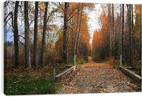 Постер на подрамнике - Осень