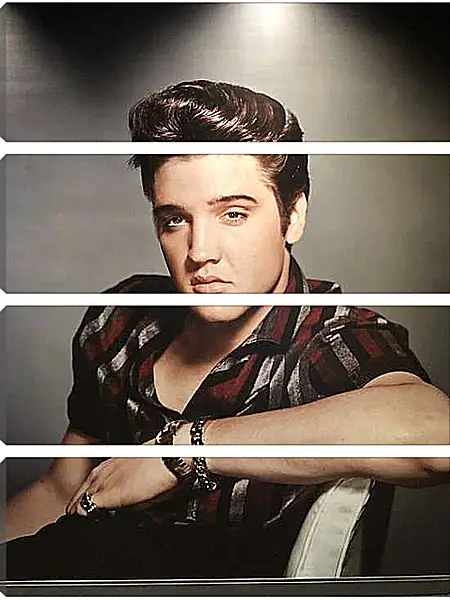 Модульная картина - Элвис Пресли. Elvis Presley