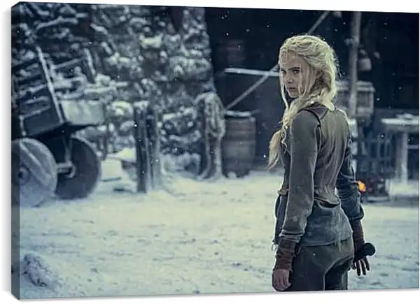 Постер на подрамнике - Ведьмак. The Witcher