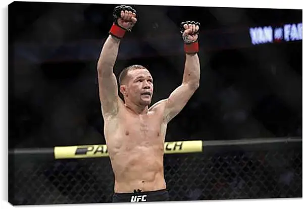 Постер на подрамнике - UFC. MMA. Пётр Ян