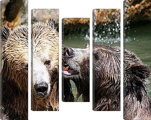 Модульная картина - Медведи