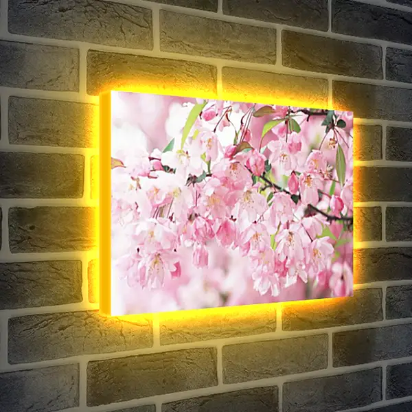 Лайтбокс световая панель - Весна