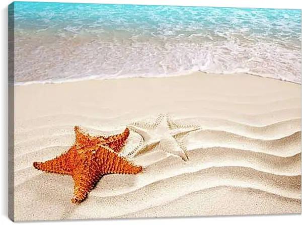 Постер на подрамнике - Морская звезда