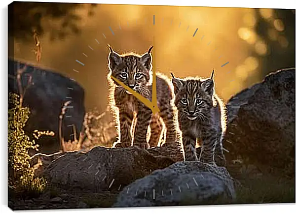 Часы картина - Рыси