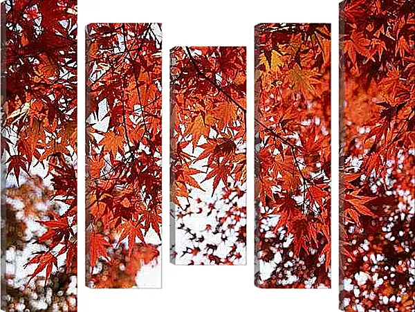 Модульная картина - Осень