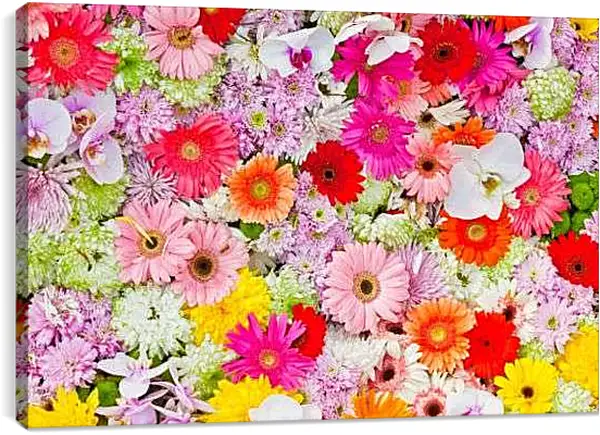 Постер на подрамнике - Ковер из гербер и других цветов