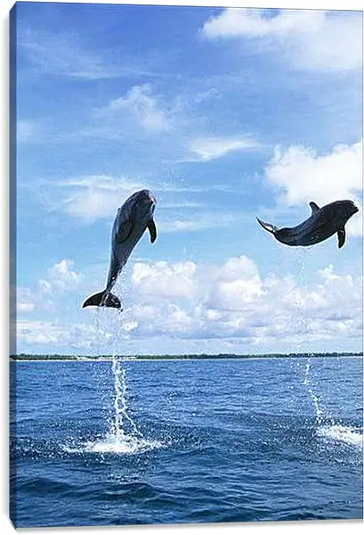 Постер на подрамнике - Дельфины