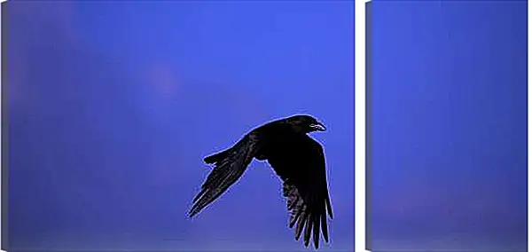 Модульная картина - Чёрный ворон в полёте