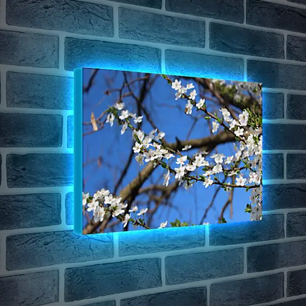 Лайтбокс световая панель - Весна