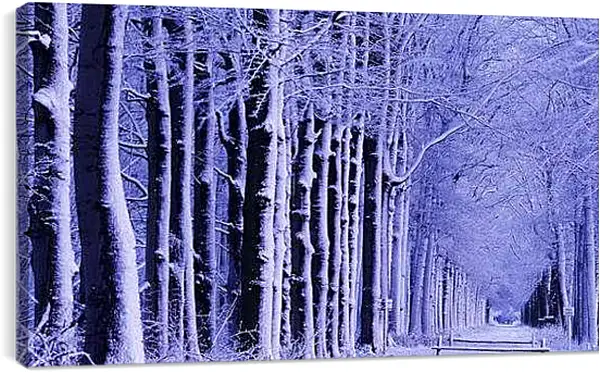 Постер на подрамнике - Зима