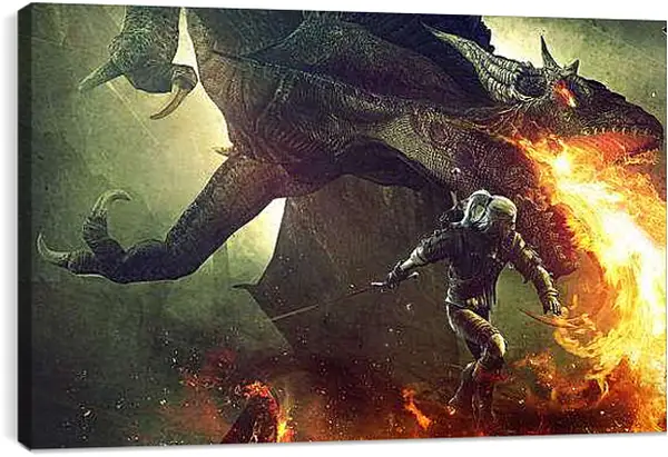 Постер на подрамнике - The Witcher 2: Assassins Of Kings