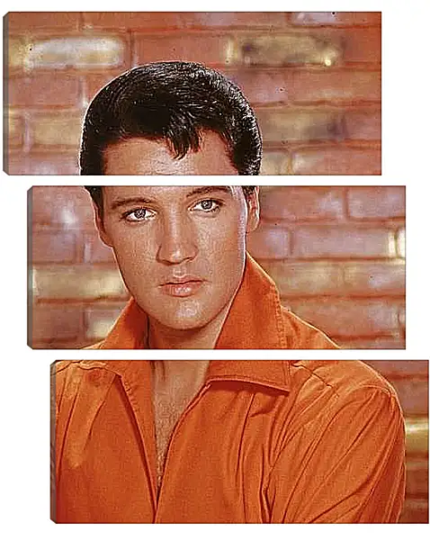 Модульная картина - Элвис Пресли. Elvis Presley