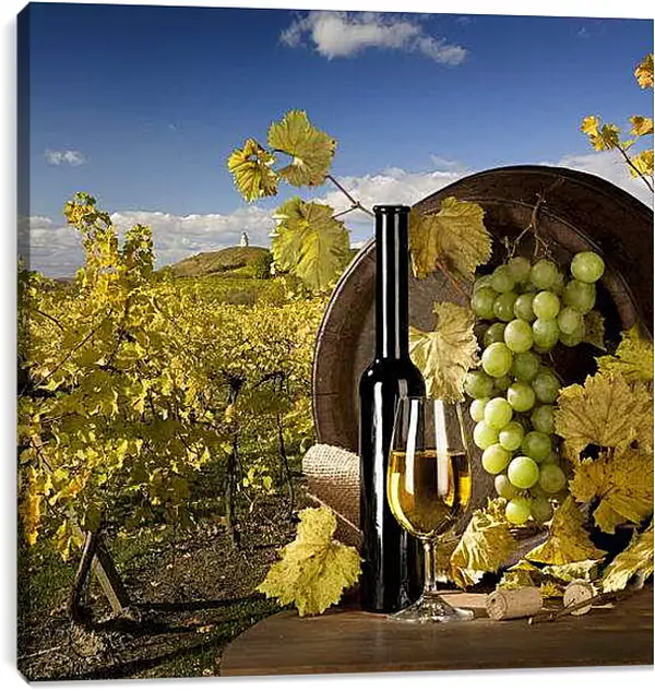 Постер на подрамнике - Солнечный виноградник. Вкус осени.