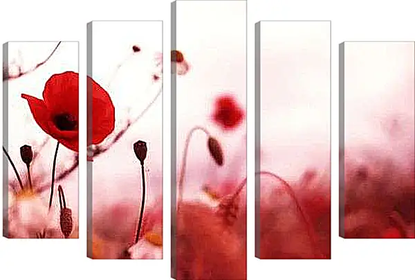 Модульная картина - Красный мак