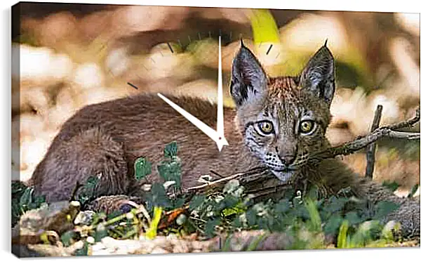 Часы картина - Рысь