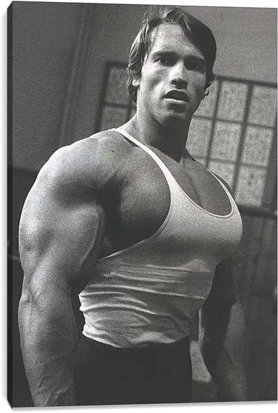 Постер на подрамнике - Арнольд Шварценеггер (Arnold Schwarzenegger)