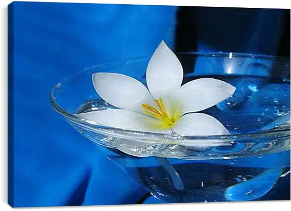 Постер на подрамнике - Лилии