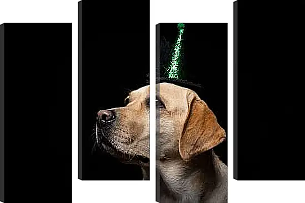 Модульная картина - Лабрадор-ретривер