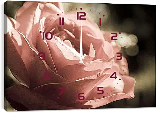 Часы картина - Нежная роза