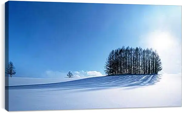 Постер на подрамнике - Зима