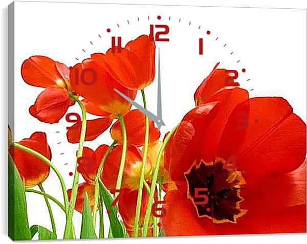 Часы картина - Маки