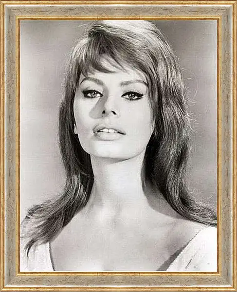 Картина в раме - Sophia Loren - Софи Лорен

