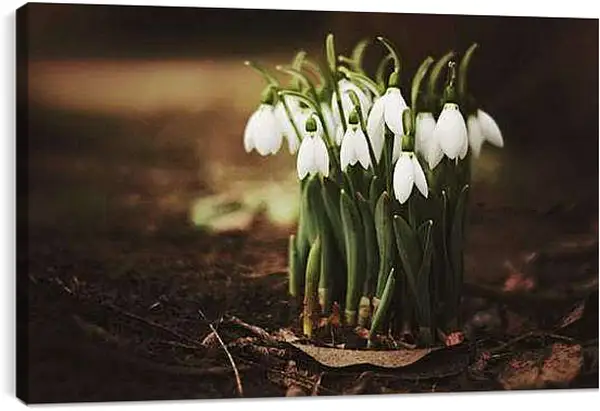 Постер на подрамнике - Весна