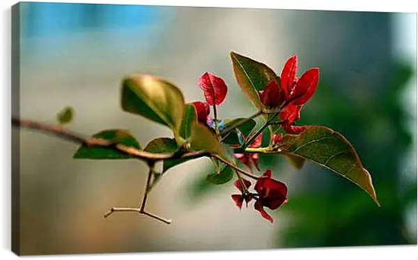 Постер на подрамнике - Весна