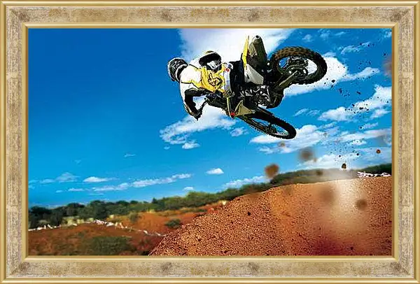 Картина в раме - Спорт