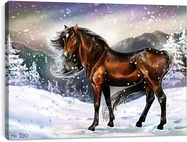 Постер на подрамнике - Жеребец