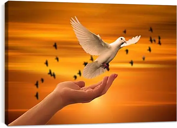 Постер на подрамнике - Голуби