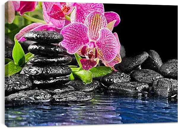 Постер на подрамнике - Орхидеи