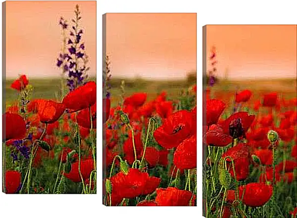 Модульная картина - На закате