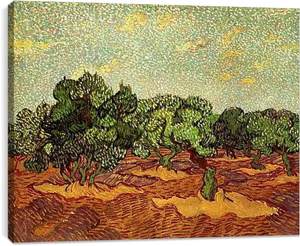 Постер на подрамнике - Olive Grove Pale Blue Sky. Винсент Ван Гог