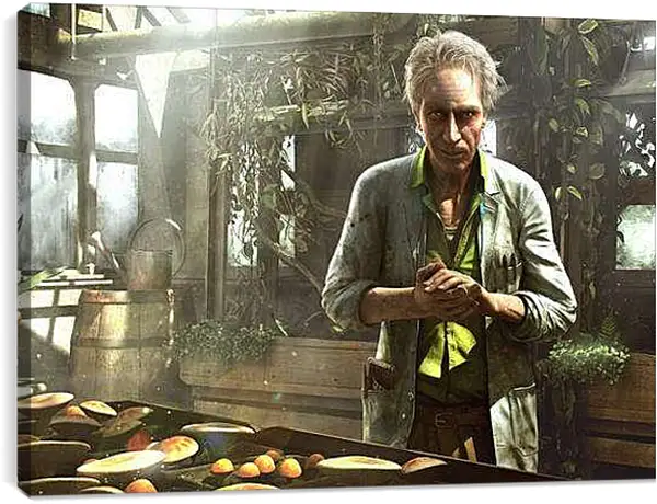 Постер на подрамнике - Far Cry 3