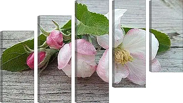 Модульная картина - Цвет яблони