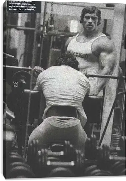 Постер на подрамнике - Арнольд Шварценеггер (Arnold Schwarzenegger)