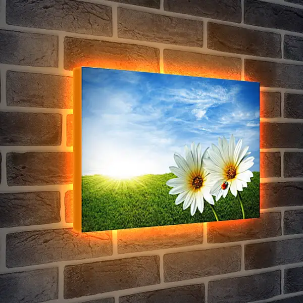 Лайтбокс световая панель - Весна