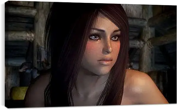 Постер на подрамнике - The Elder Scrolls V: Skyrim
