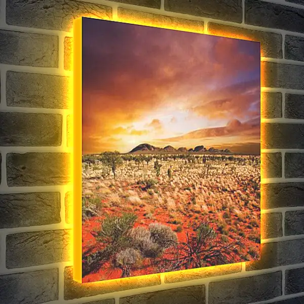 Лайтбокс световая панель - Природа