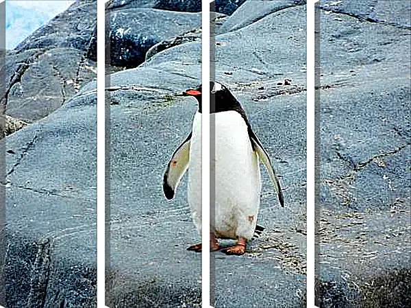 Модульная картина - Пингвин с красным клювом