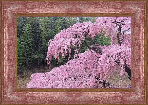 Картина в раме - Весна