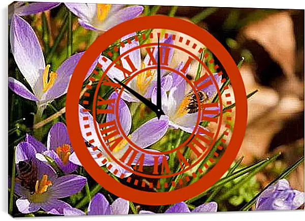 Часы картина - Крокусы