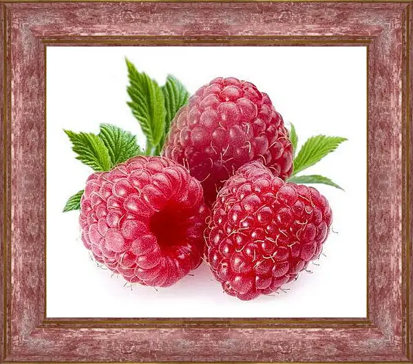 Картина в раме - Малина. Ягодное Наслаждение.
